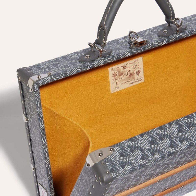 Goyard PALACE MM TRUNK BAG Harmaat | DSQK2404